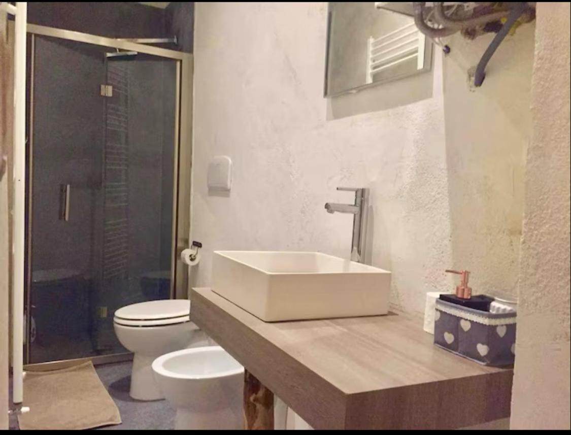Downtown Loft Daire Bolonya Dış mekan fotoğraf
